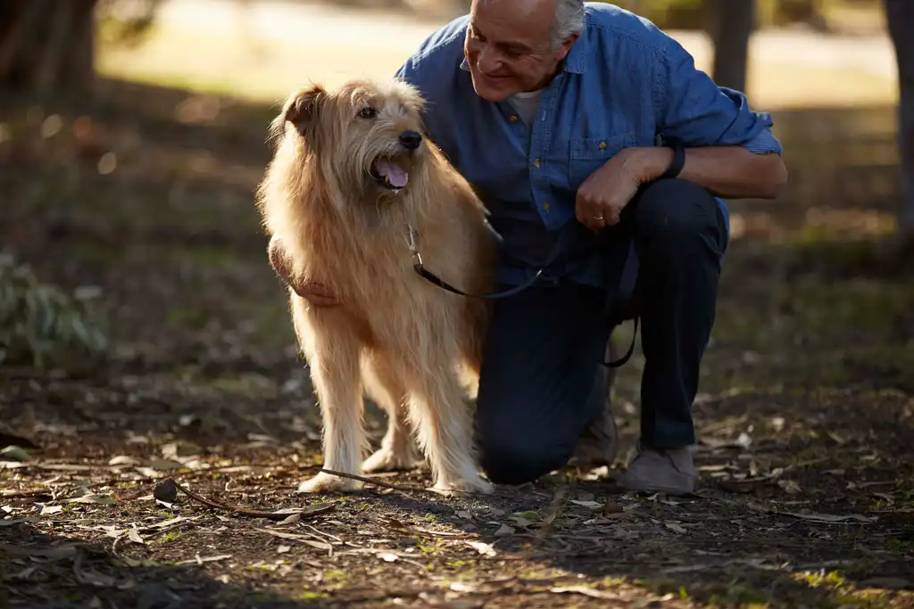 Do Dogs & Cats Take on Their Owner’s Personality?